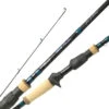 Okuma DTR Custom Inshore Casting Rods -Okuma okuma dtr inshore casting rods 14120.1651358227