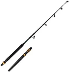 SALTWATER ROD OKUMA MAKAIRA